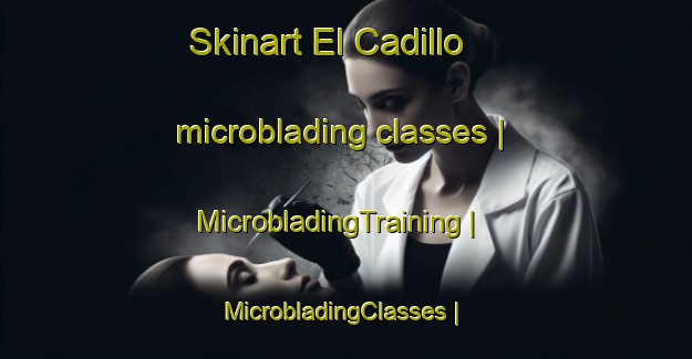 Skinart El Cadillo microblading classes | MicrobladingTraining | MicrobladingClasses | SkinartTraining-Mexico